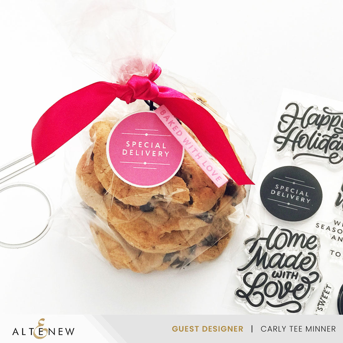 Altenew Wrapped With Love Clear Stamps alt10926 special delivery