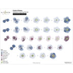 Altenw Craft A Flower Hellebore Layering Dies alt10383 layering guide
