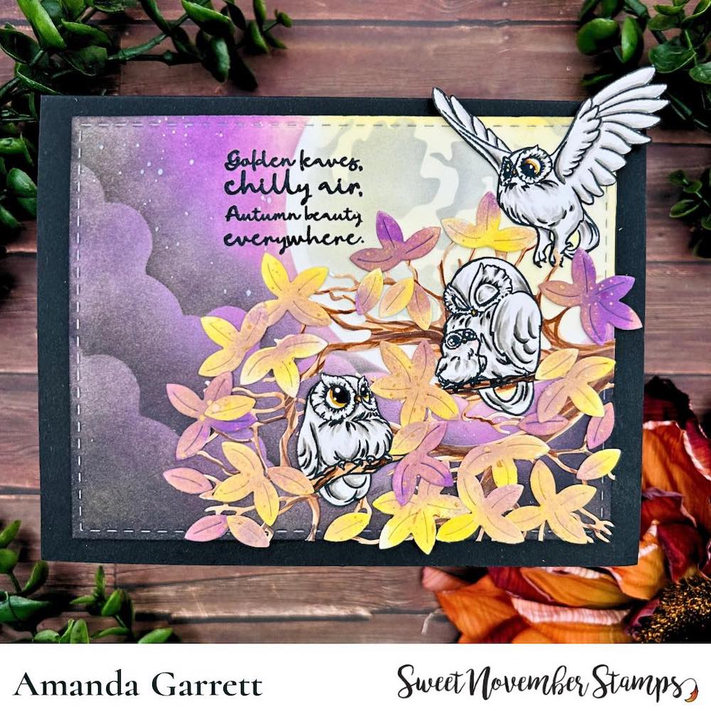Sweet November Stamps Fall is in the Air Clear Stamp Set sns-fa-ow-23 Amadna