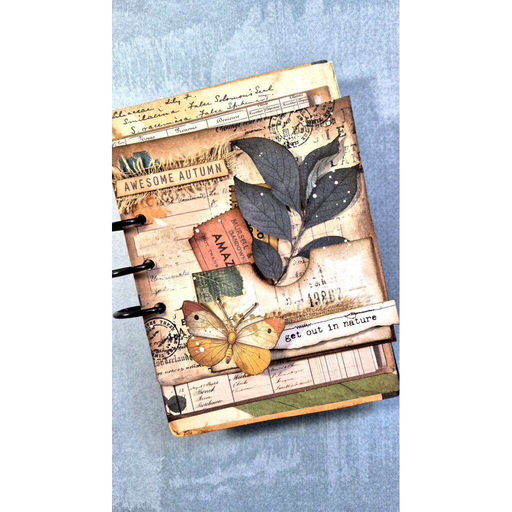 Arden Creative Studio Amber Ledgers Bookmakers Ephemera Pack acsep0018 black leaves butterfly get out in nature card vicky papaioannou