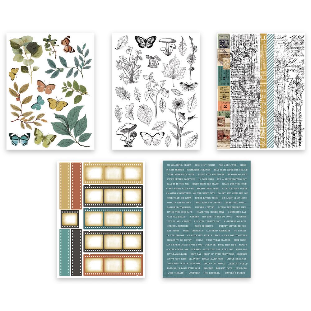 Arden Creative Studio Amber Ledgers Sticker Book acssb0003 sheets