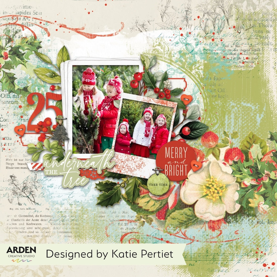Arden Creative Studio Christmas Cheer Frame Ephemera Pack acsep0014 flowers berries merry and bright 