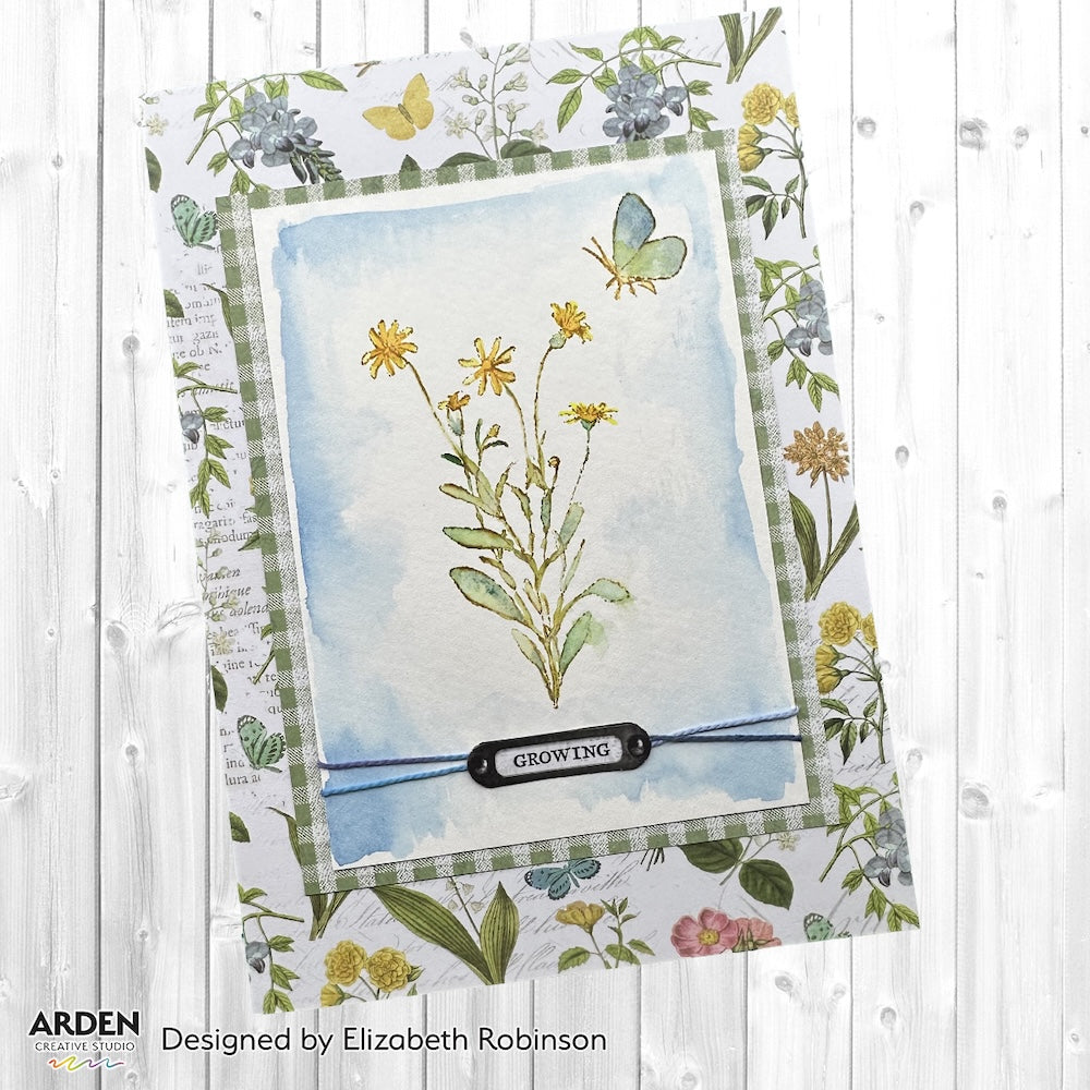 Arden Creative Studio Field Notes 12x12 Paper Pad acspp0017 growing