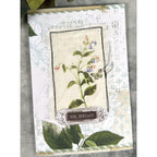 Arden Creative Studio Field Notes Ephemera Pack acsep0010 purple flowers
