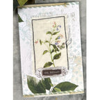 Arden Creative Studio Field Notes Rub On Transfer Set acsro0007 flowers