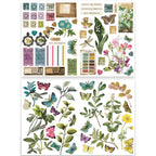 Arden Creative Studio Garden Chronicles Laser Cuts acslc0008 flowers