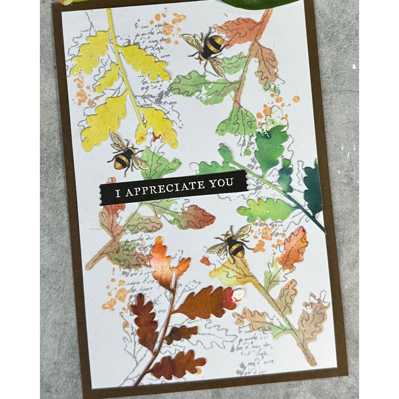 Arden Creative Studio Maker Series Branch Mix Dies acscd0023