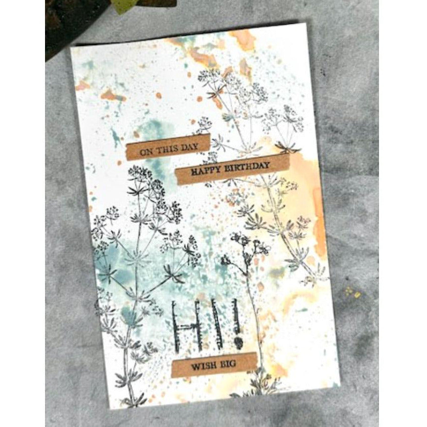 Arden Creative Studio Maker Series Everyday Notes Stamp and Die Bundle birthday