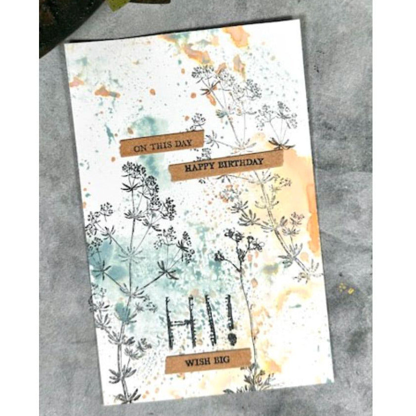 Arden Creative Studio Maker Series Field Notes Meadow Clear Stamp Set acscs0021 happy birthday