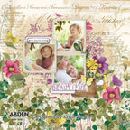 Arden Creative Studio Maker Series My Flowers Clear Stamps acscs0029oh happy day