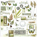 Arden Creative Studio Vellum Ephemera Pack acsep0002
