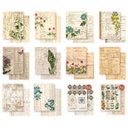 Arden Creative Studio Vintage Makers Ledger Essentials 6x8 Paper acspp0025 cardstock