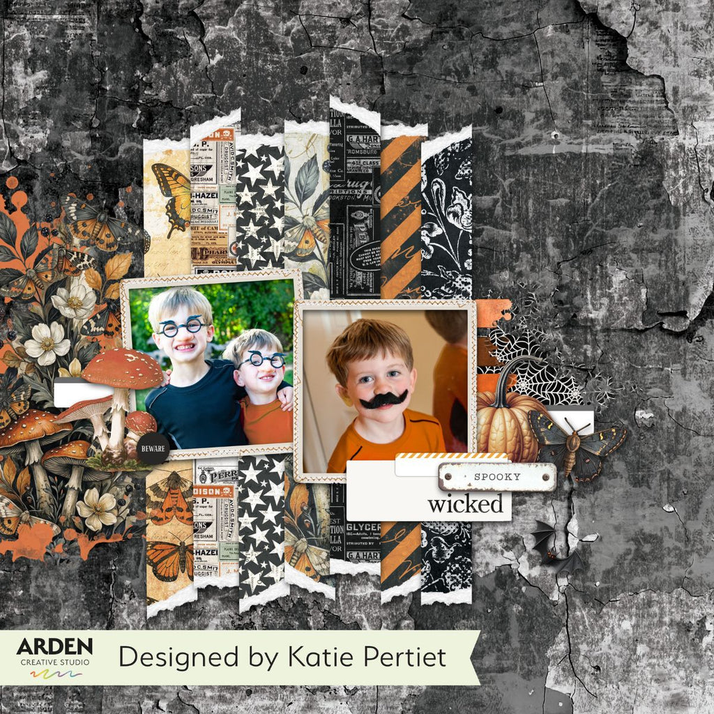 Arden Creative Studio Wicked Woods 6x8 Rub On Transfer Set acsro0012 orange mushrooms moths stars spooky wicked card katie pertiet