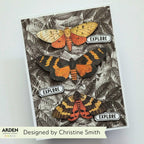 Arden Creative Studio Wicked Woods Batty Clear Stamp Set acscs0036 orange moths leaf background explore card christine smith