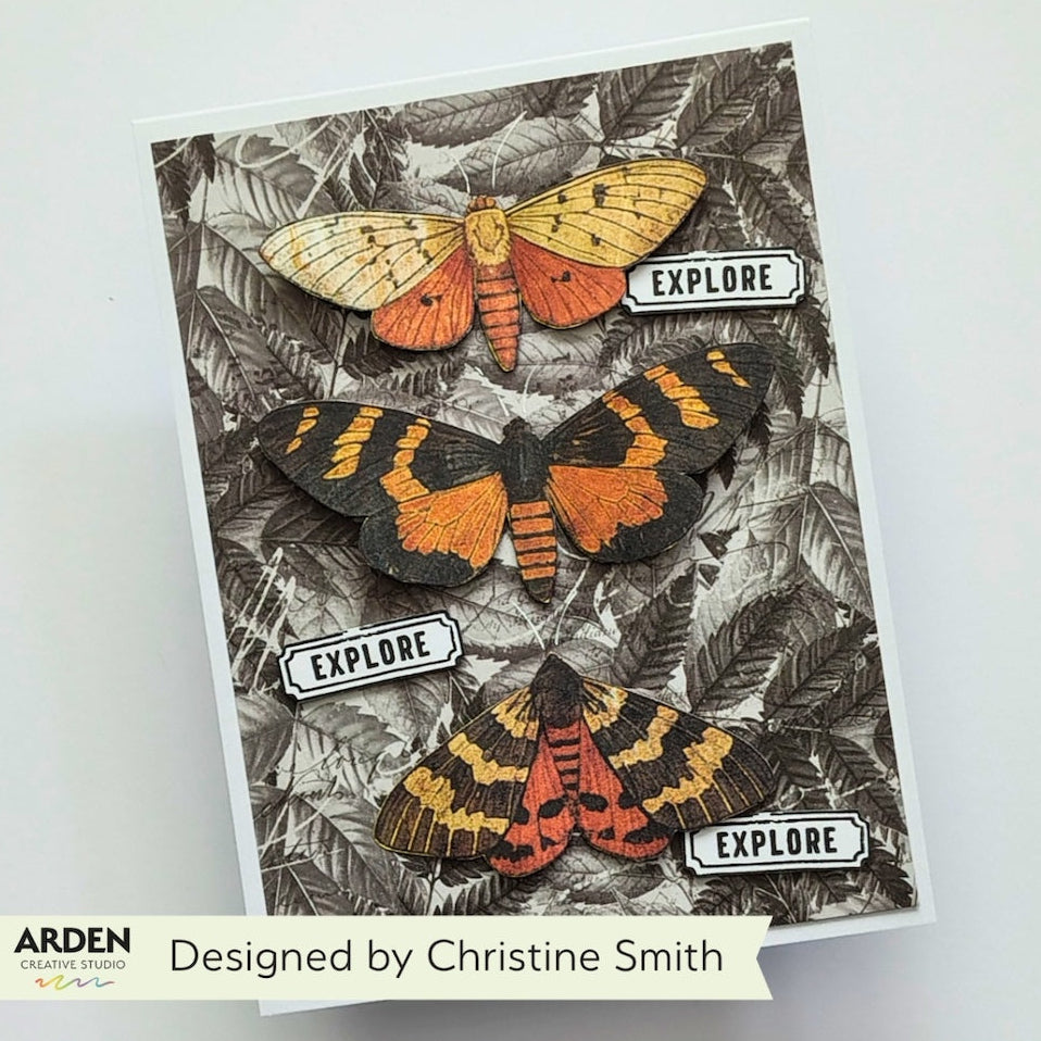 Arden Creative Studio Wicked Woods Batty Clear Stamp Set acscs0036 orange moths leaf background explore card christine smith