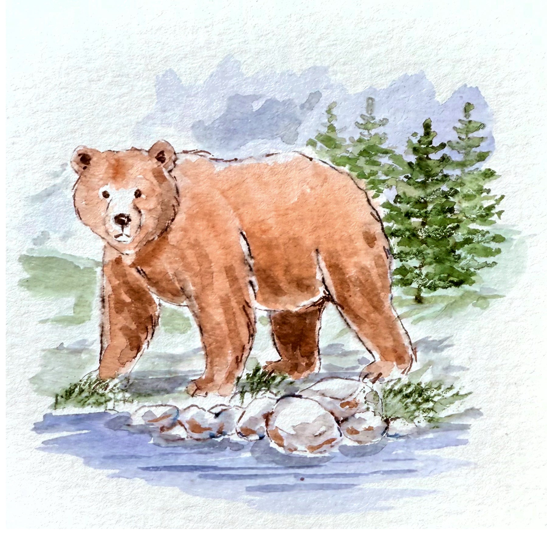 Art Impressions Watercolor Bear Stamps 6064 sample
