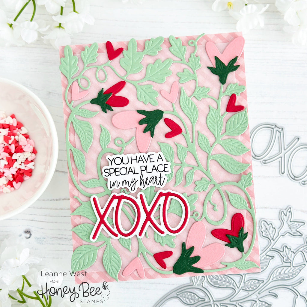 Honey Bee Great Greetings Love Dies hbds-gglve You Have A Special Place In My Heart Card