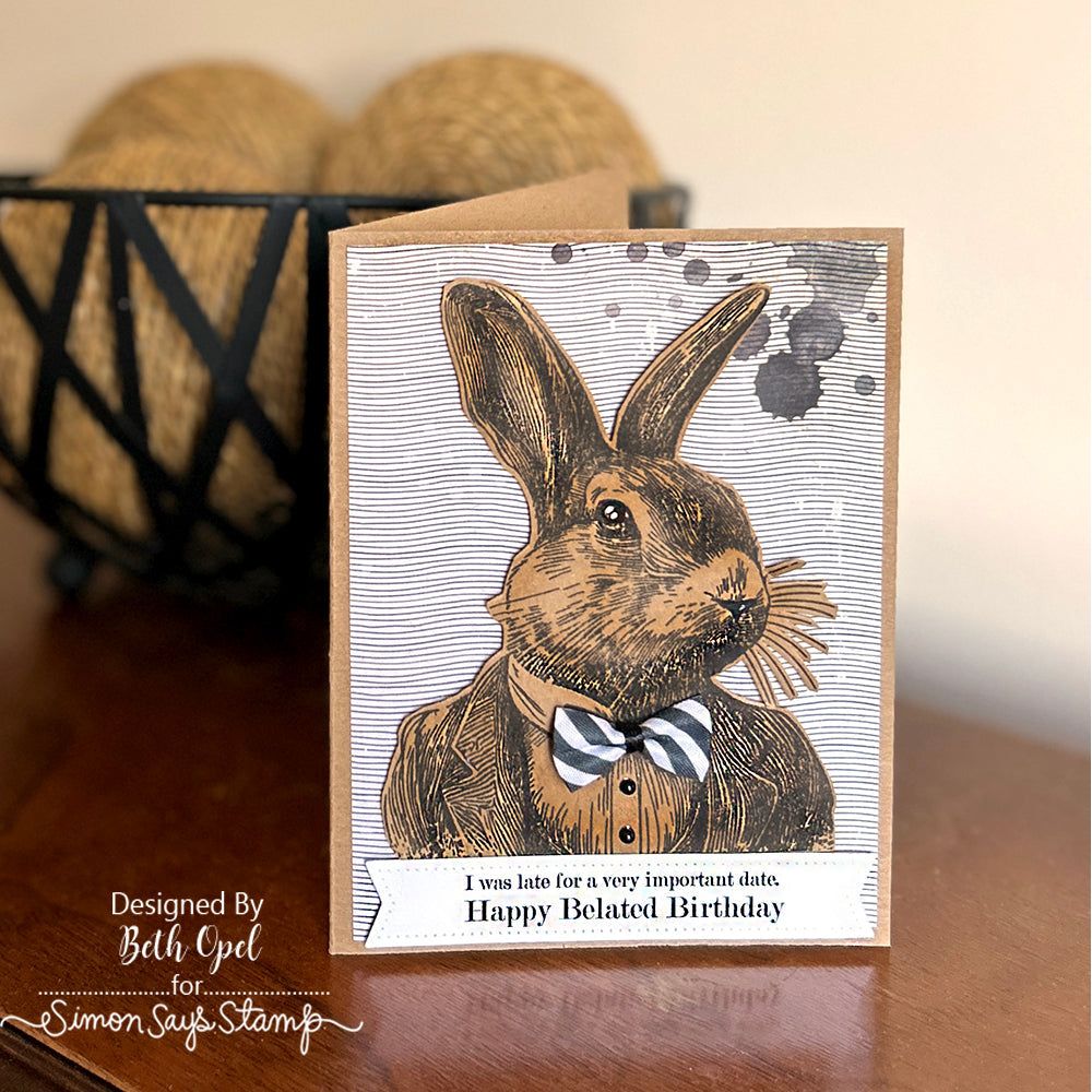 Simon Says Stamp Mr Rabbit Wafer Dies sss478 Birthday Card | color-code:ALT03