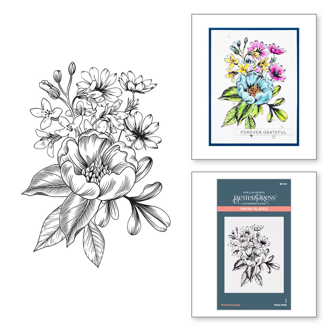 BP-012 Spellbinders Pressed Bouquet Press Plate