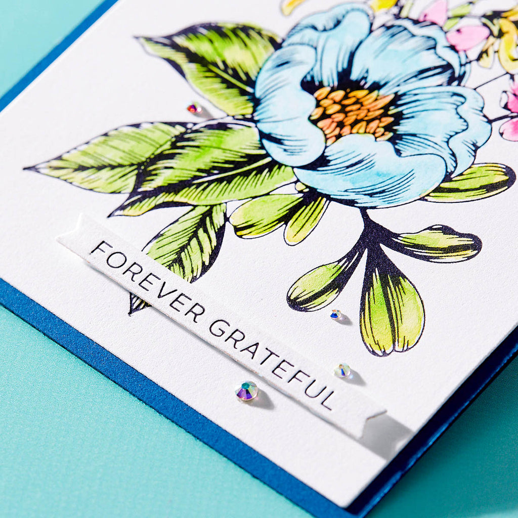 BP-025 Spellbinders Always and Forever Sentiment Strips Press Plate and Die Set Grateful
