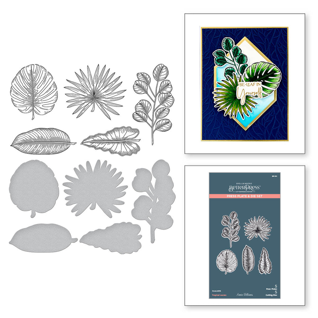 Spellbinders Tropical Leaves Press Plate and Die Set bp-155 product image