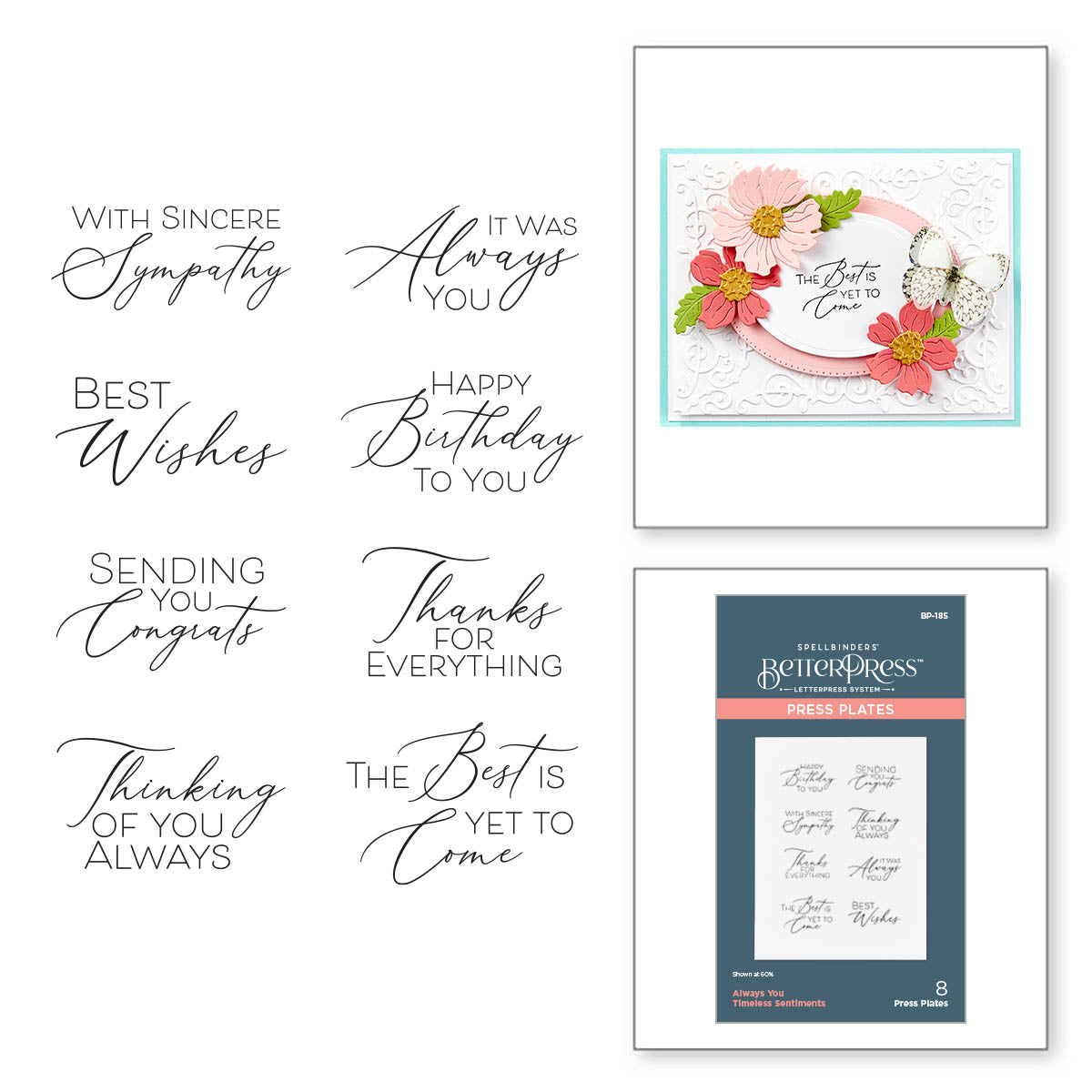 Spellbinders Always You Timeless Sentiments Press Plates bp-185 product image
