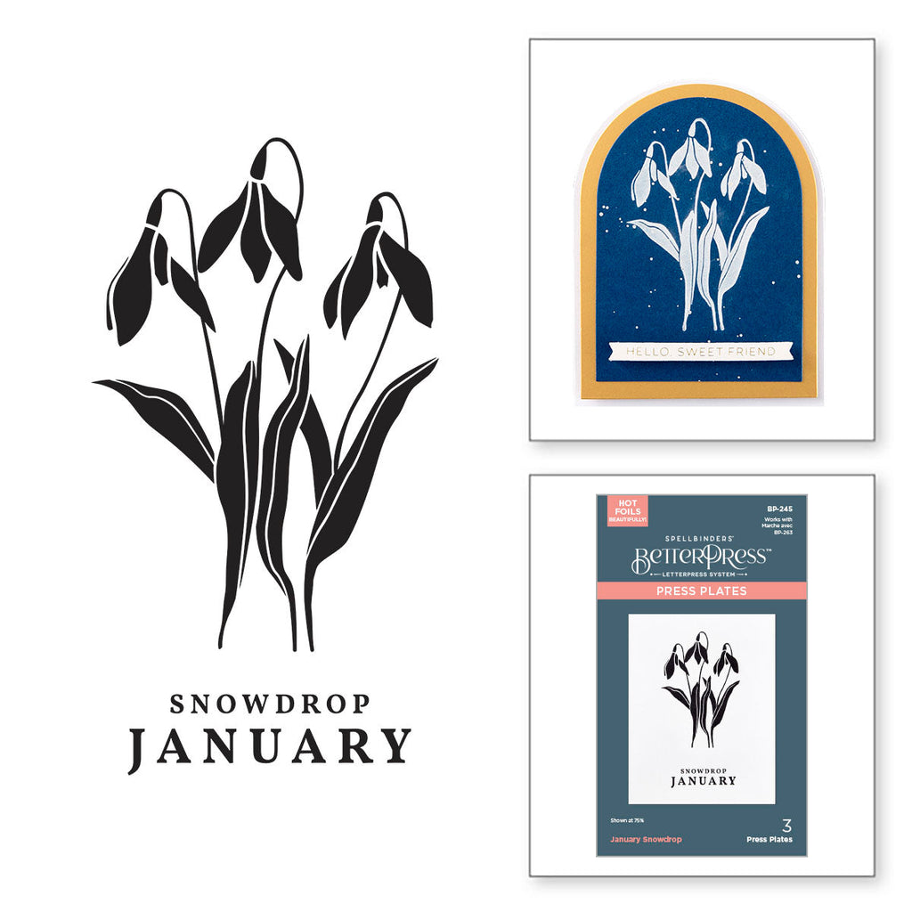 Spellbinders January Snowdrop Press Plates bp-245