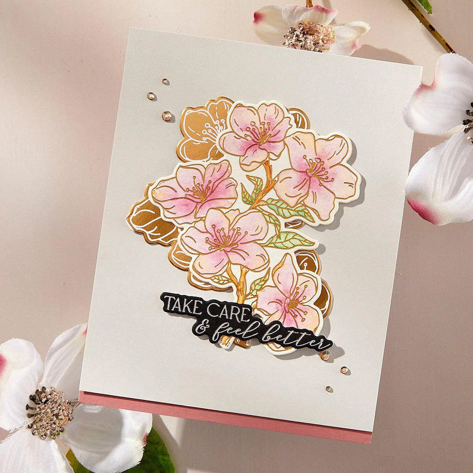 Spellbinders Cherry Blossoms BetterPress Plate and Die Set bp-290