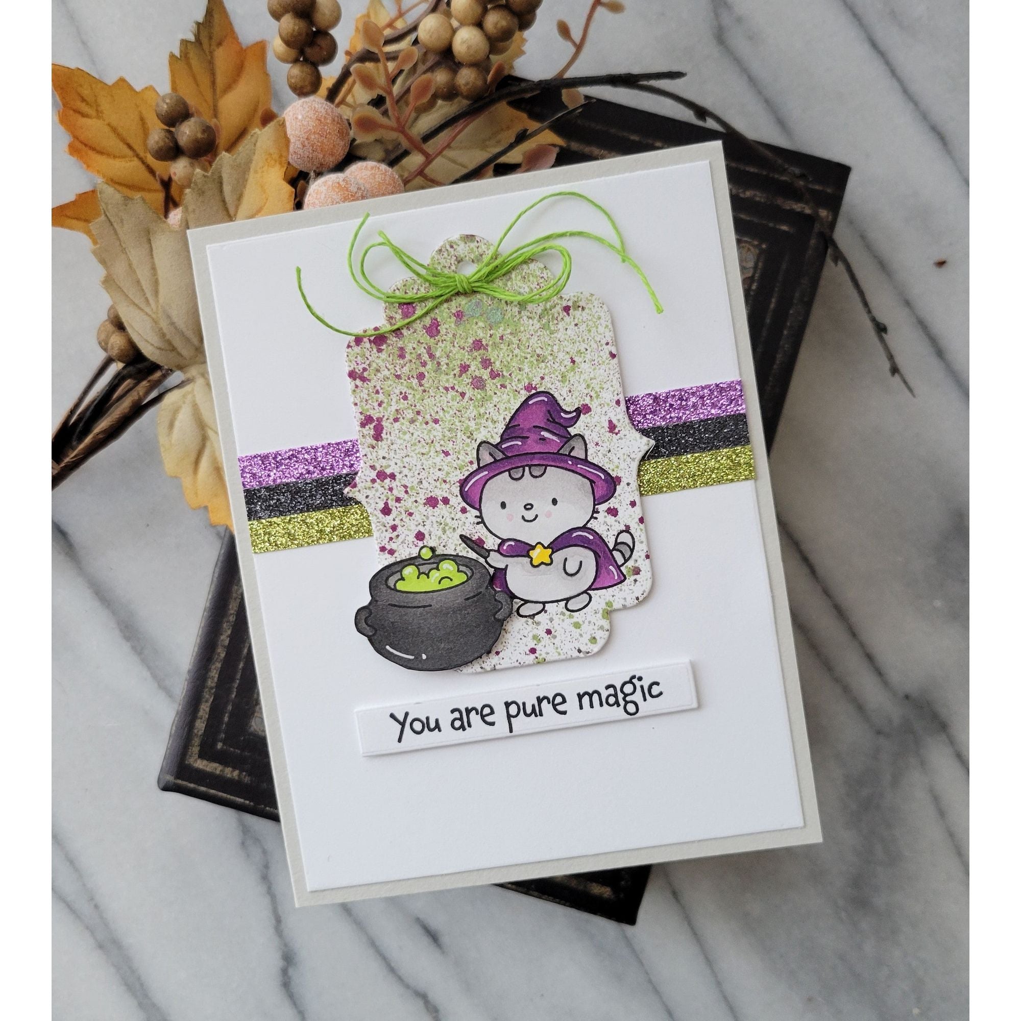 Simon Says Stamps and Dies Best Witches set1048bw STAMPtember Halloween Card | color-code:ALT06