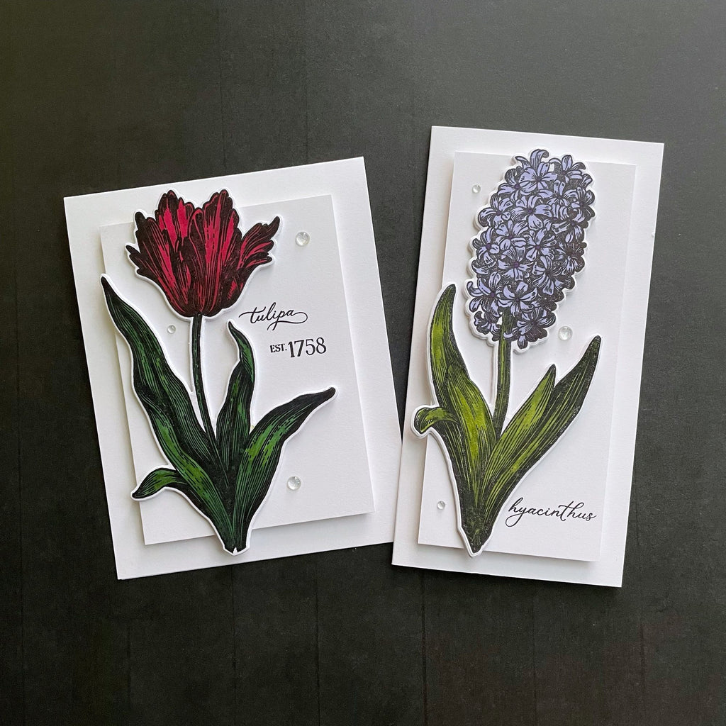 Simon Says Stamp You Are My Favorite Collection I Want It All Stamps and Dies set975sd Big Botanicals