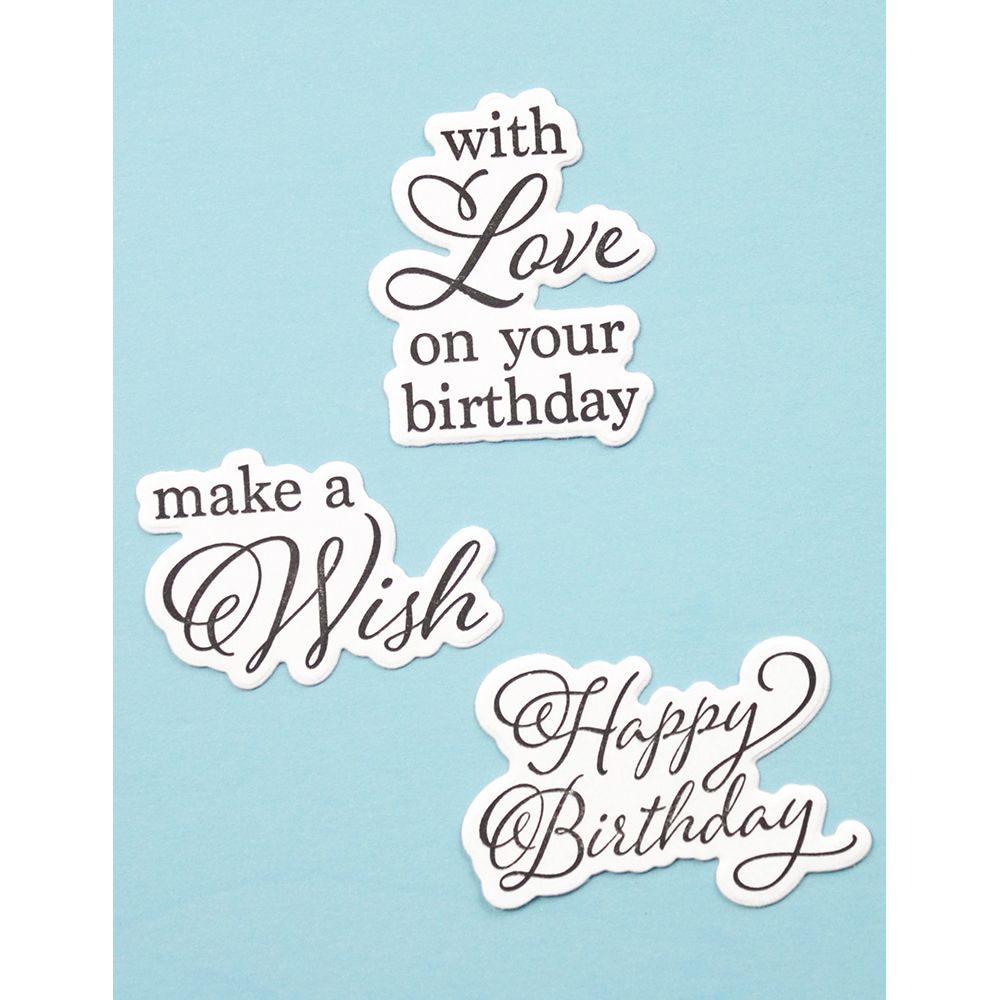 Birch Press Design Elegant Birthday Sentiments Clear Stamp And Die Set 8166 make a wish