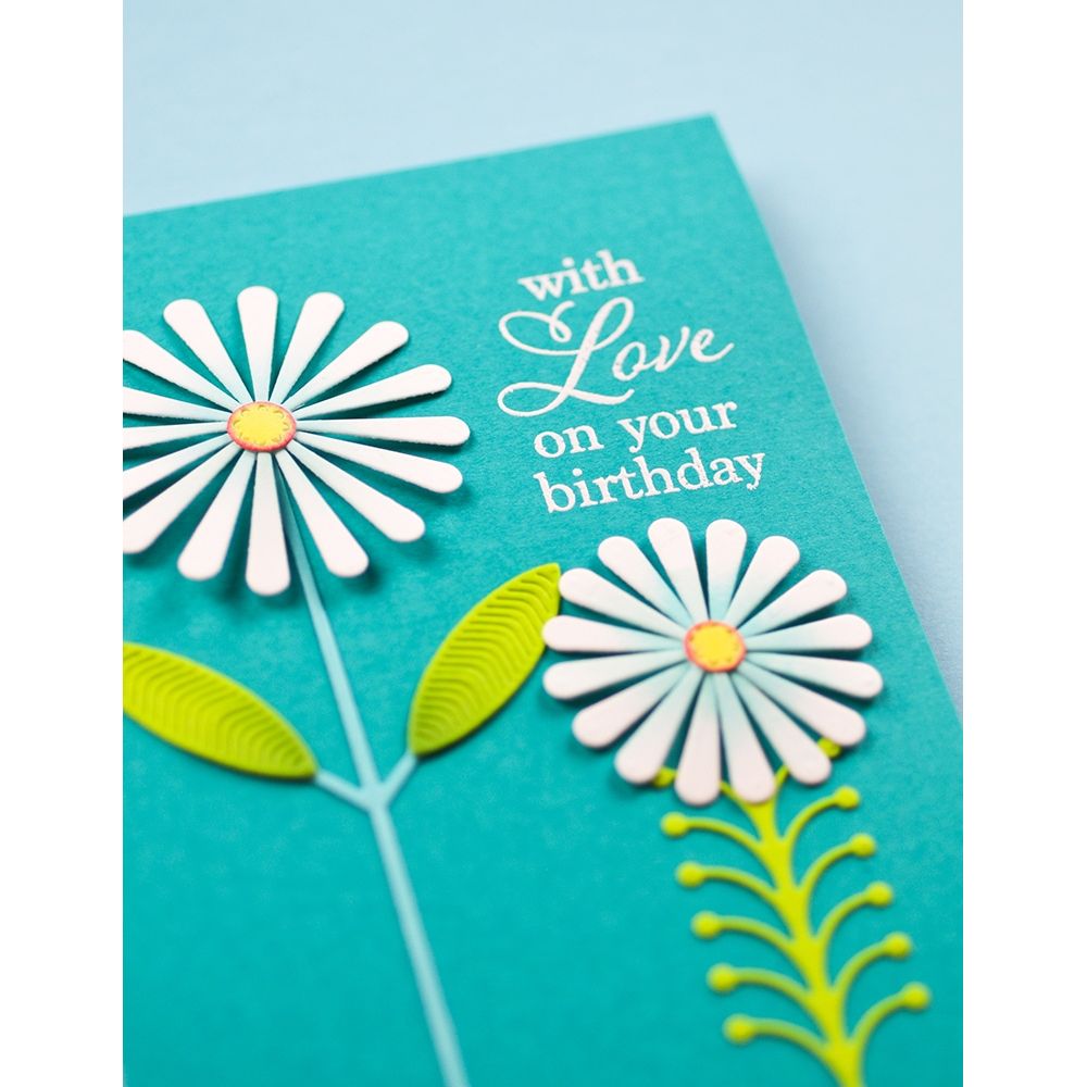 Birch Press Design Elegant Birthday Sentiments Clear Stamp Set cl8166 with love