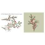 Birch Press Design Meadow Berry Branch Contour Layers Dies 57554 layers