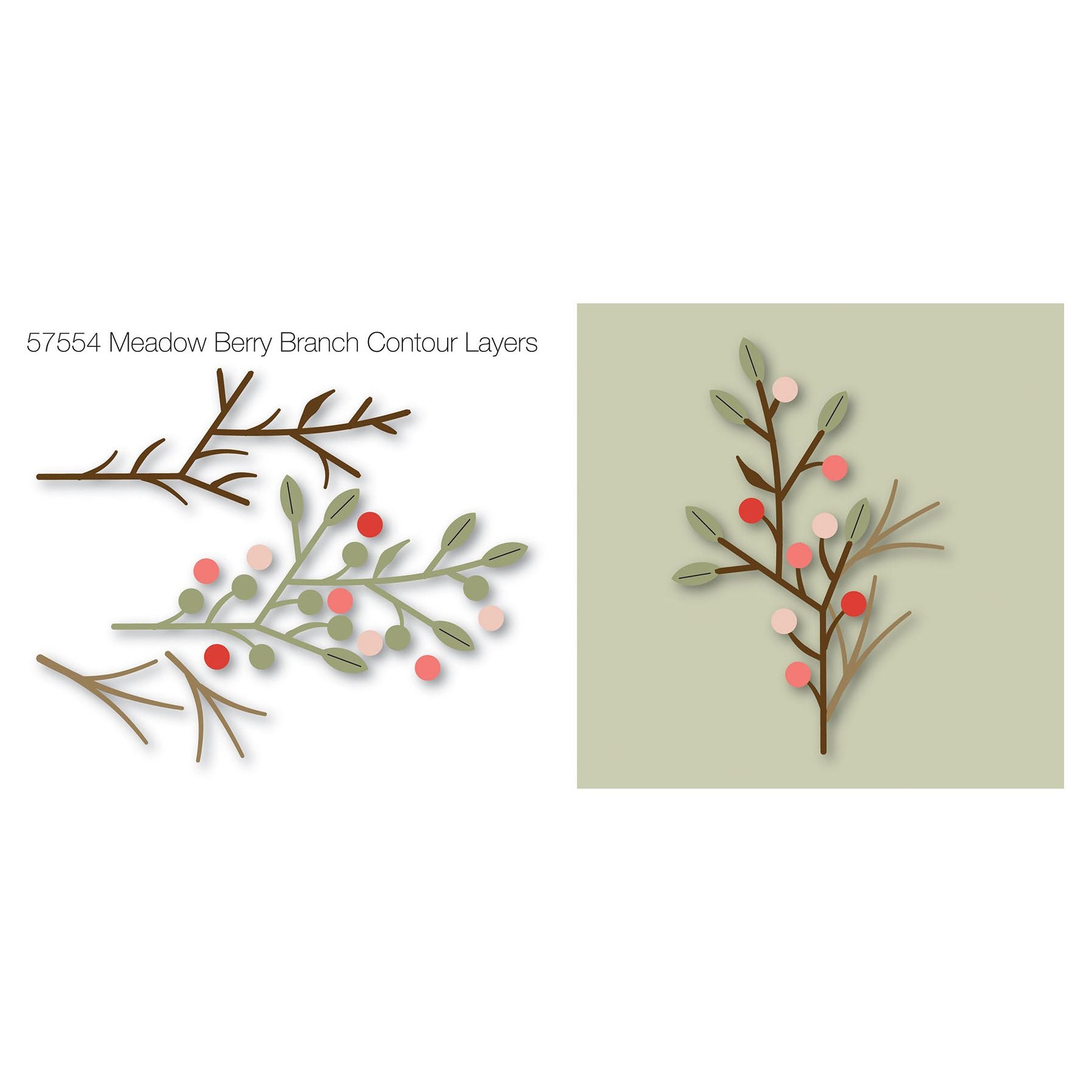 Birch Press Design Meadow Berry Branch Contour Layers Dies 57554 layers
