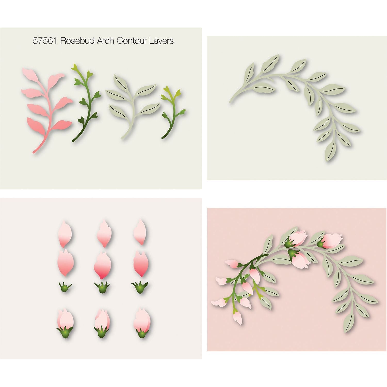 Birch Press Design Rosebud Arch Contour Layers Dies 57561 branch