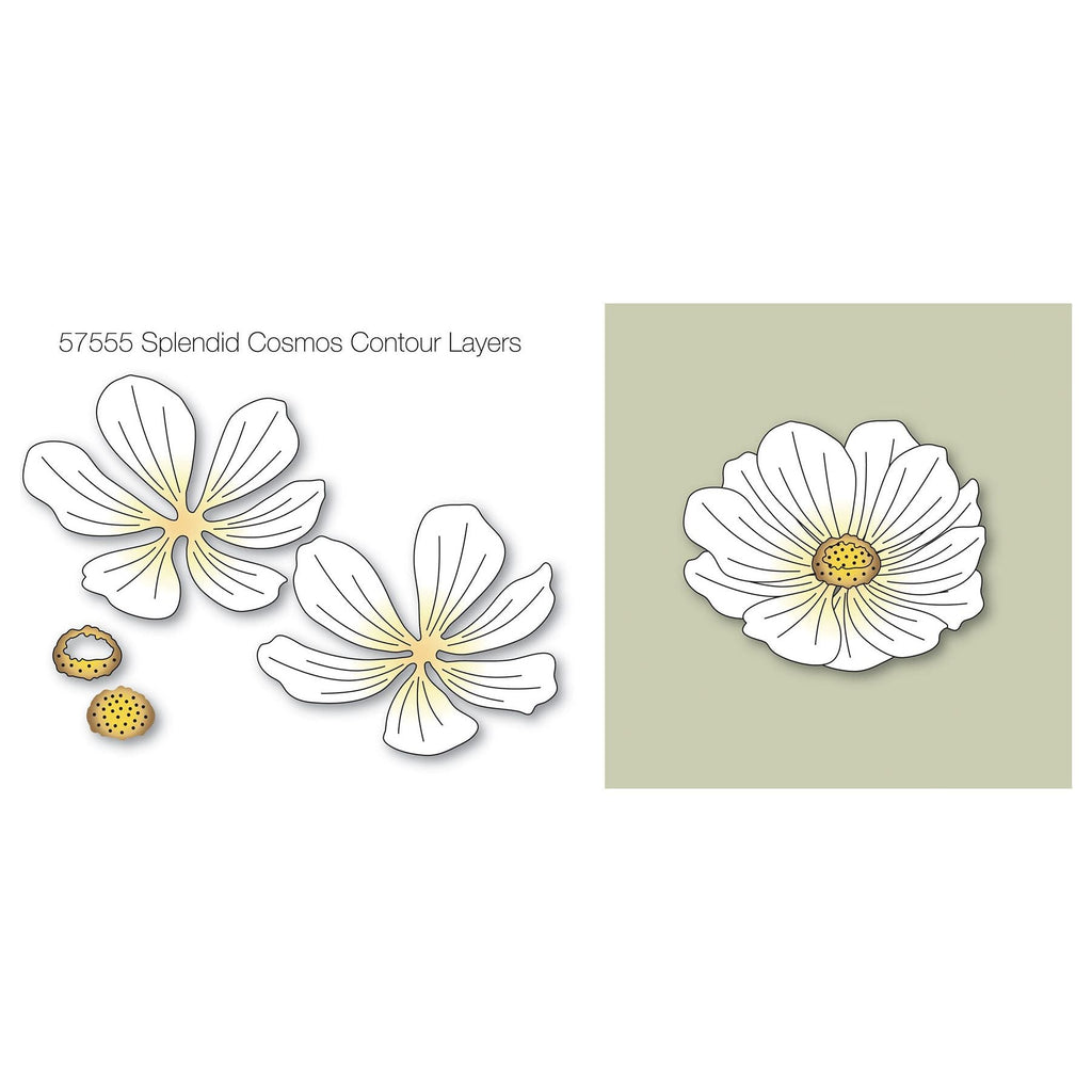 Birch Press Design Splendid Cosmos Contour Layers Dies 57555 details