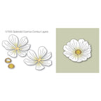 Birch Press Design Splendid Cosmos Contour Layers Dies 57555 details