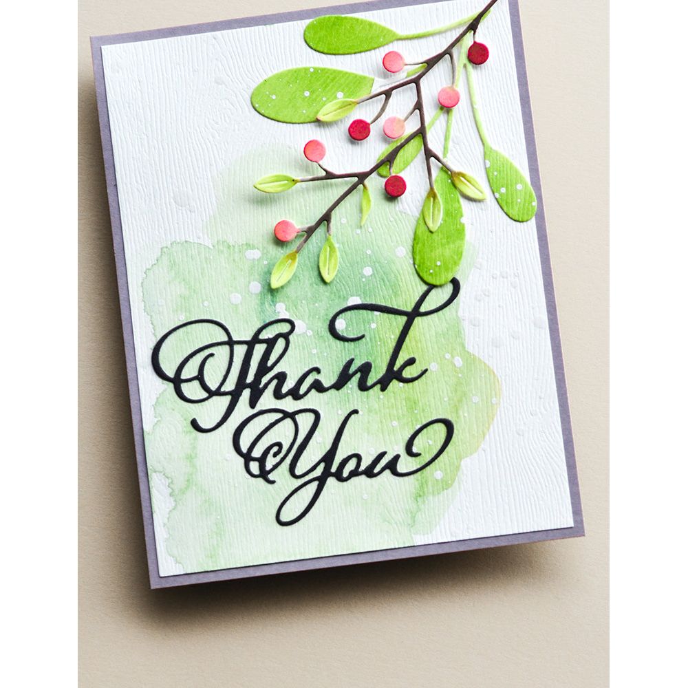 Birch Press Design Thank You Scripted Dies 57545 watercolor
