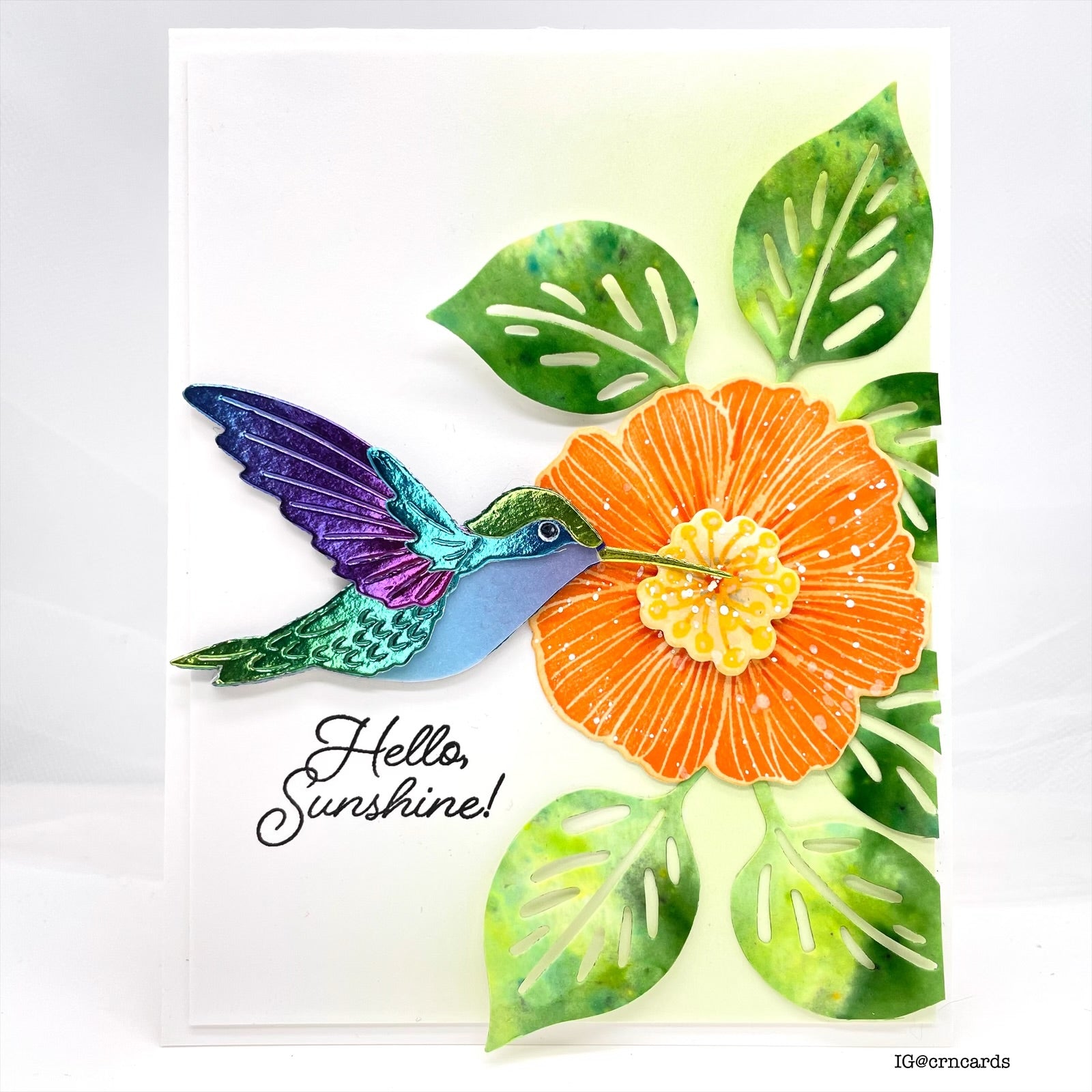 Simon Says Stamp Brilliant Hummingbird Wafer Dies s988 Friend Like You Hello  Card