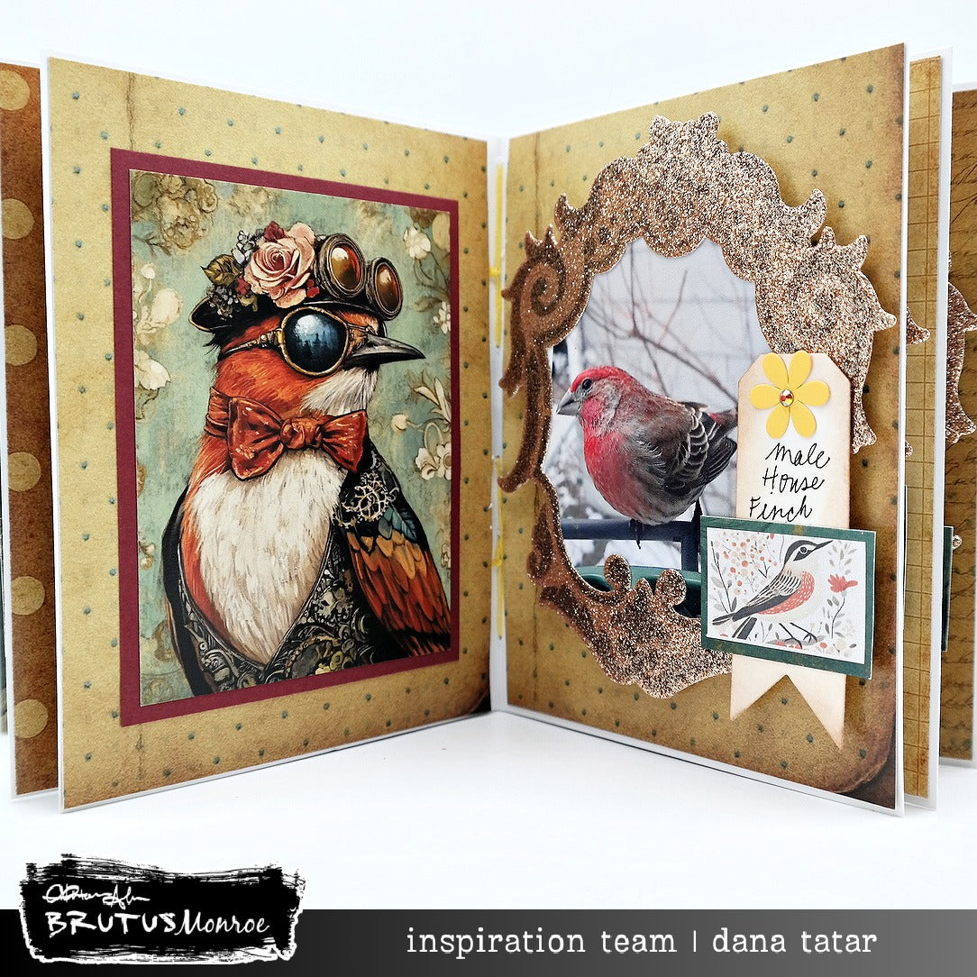 Brutus Monroe State Birds Washi Sheets bru1896 finch