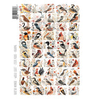 Brutus Monroe State Birds Washi Sheets bru1896 state