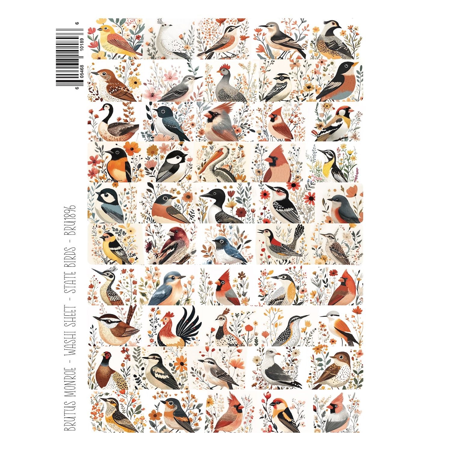 Brutus Monroe State Birds Washi Sheets bru1896 state