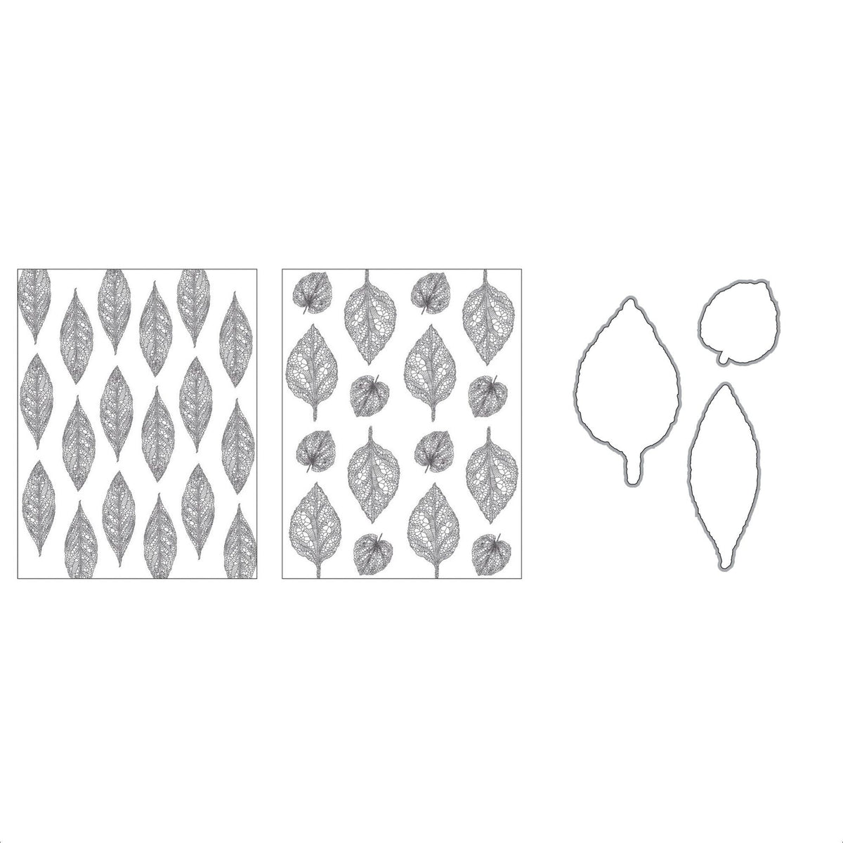 Brutus Skeleton Leaves Acetate and Die Bundle