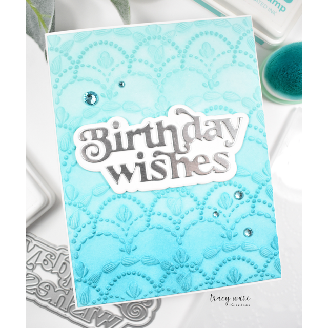 Simon Says Stamp Embossing Folder Bundled Swag sf446 Favorite Things BIrthday Card | color-code:ALT06
