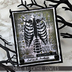 Tim Holtz Cling Rubber Stamps Curator cms493