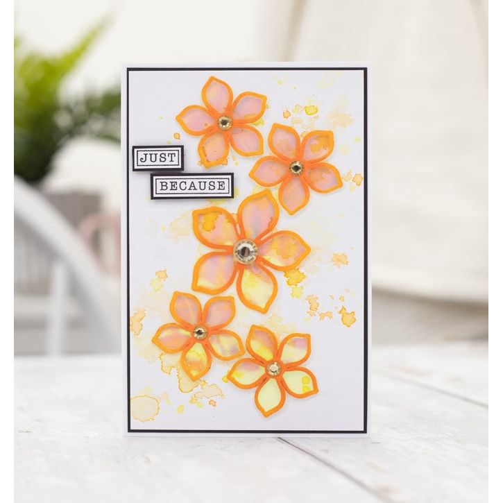 Crafter's Companion Coral Illusion Film cc-ilf-cor just because flower card