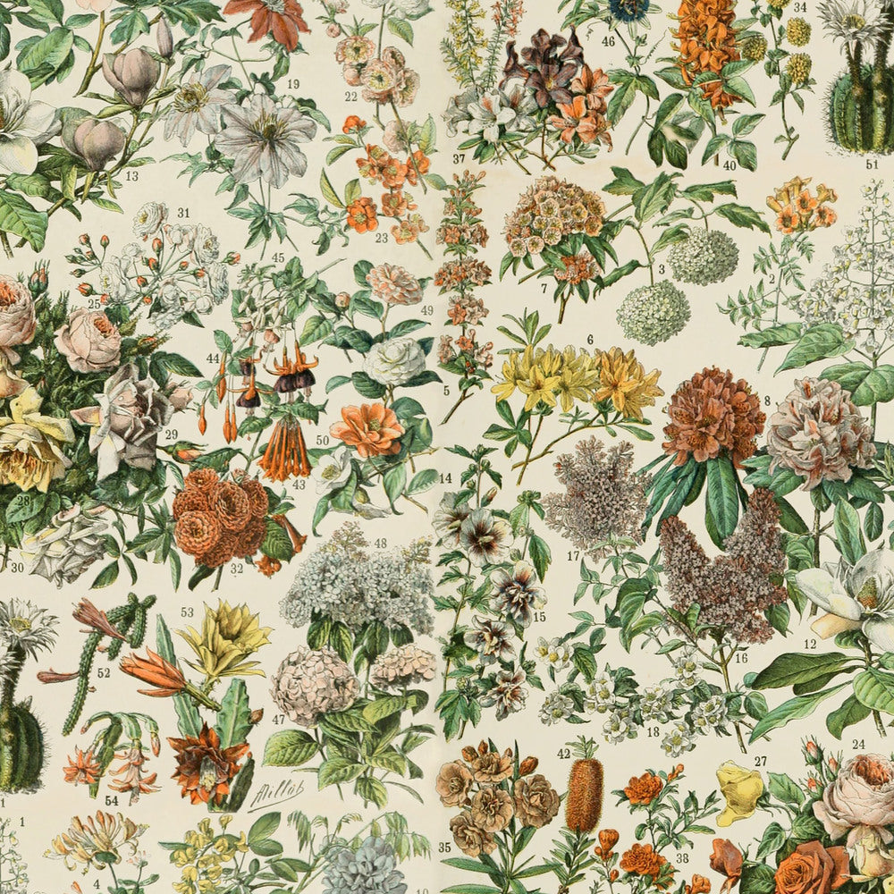 Tim Holtz Fabric By The Yard Orange Botanical ccth022 Eclectic Elements Canvas