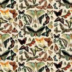 Tim Holtz Fabric By The Yard Teal Butterflies ccth027 Eclectic Elements Canvas