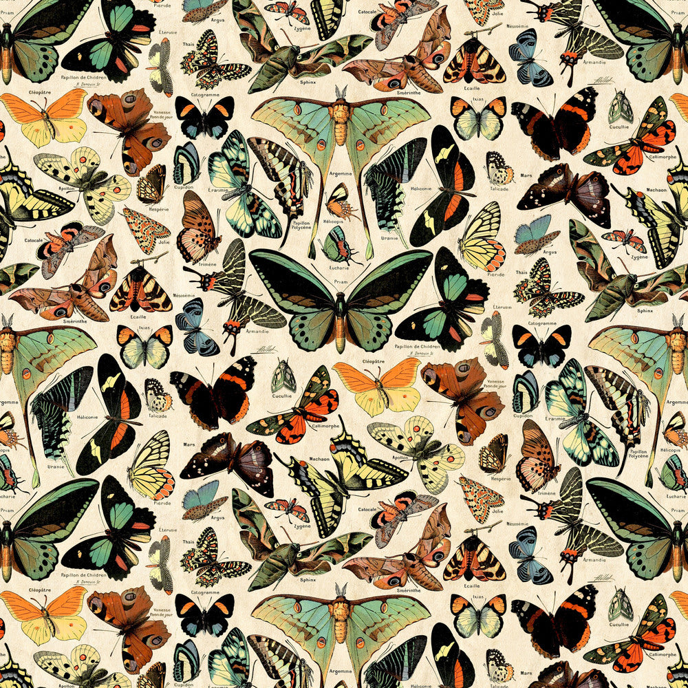 Tim Holtz Fabric By The Yard Teal Butterflies ccth027 Eclectic Elements Canvas