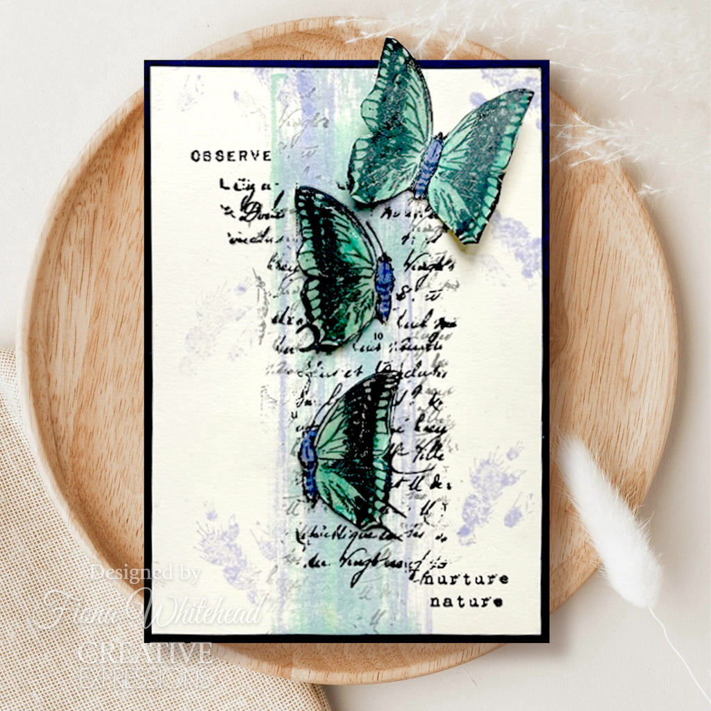Creative Expressions Faded Flora Clear Stamps cec1046 butterflies